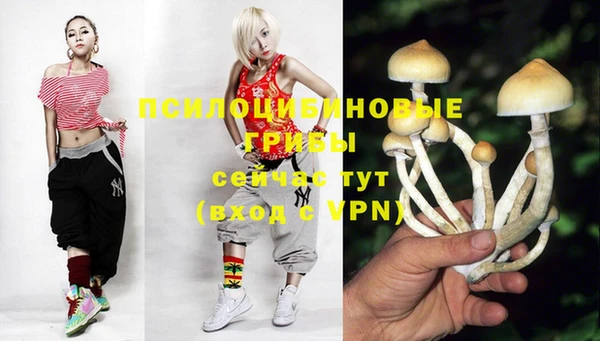 apvp Гусь-Хрустальный