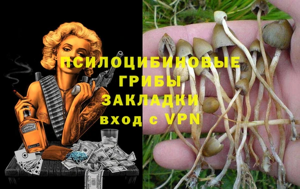 apvp Гусь-Хрустальный