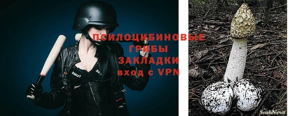 apvp Медногорск