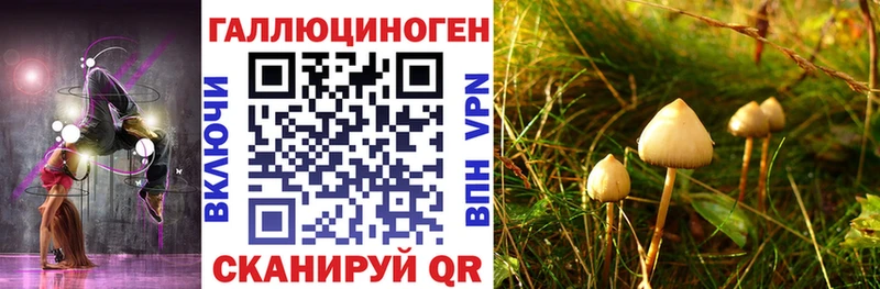 наркотики Можайск Псилоцибиновые грибы Psilocybine cubensis