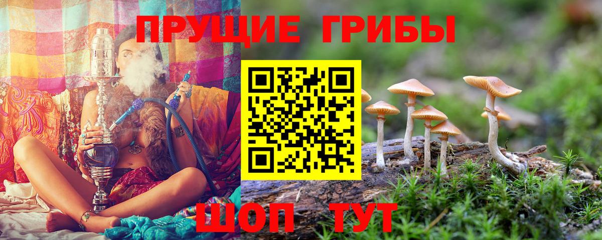 Можайск  Псилоцибиновые грибы мухоморы  Вход с VPN 